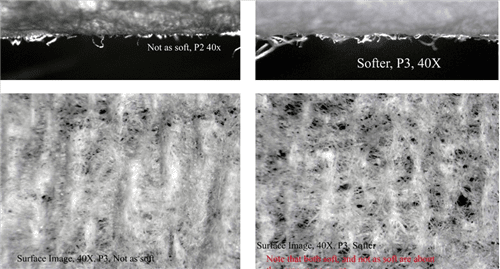 Figure 6.  Small Difference Evaluation 1:   Here we see in the view of zed direction fiber a slight improvement in the softer sheet. Although the crepe count is almost the same in both sheets, the right picture shows a difference in structure relating to coarseness and better drape. 