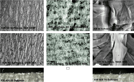 Figure 7. See the Small Difference Evaluation  2 above for analysis details of these photographs