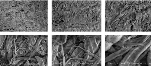 Figure 4.  SEM photographs of the top surface of a sheet with magnifications ranging from 50X to 1500X.  Following in Phase 2 you will see the very significant findings of this high magnification study