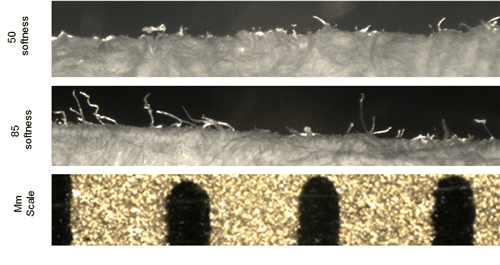 Figure 5C. Folded Surface View: Evaluation of surface depth (velvet) feel.   Visible differences are fewer zed direction fibres on lower softness sheet; the 50 softness obviously has fewer vertical fibres.  85 softness fibres are longer.  85 softness fibres are thinner.