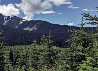 New technology for the circular economy Climate control: Canfor maintains forest certification on the 23 million hectares of forest licenses in Canada.