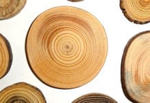 Efficient wood supply and logistics