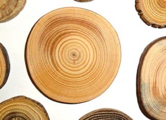 Efficient wood supply and logistics Efficient wood supply and logistics