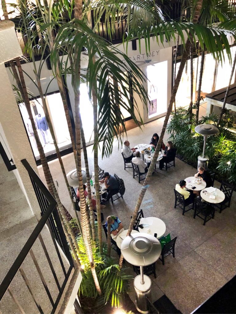 Above: Bamboo growing in a US restaurant