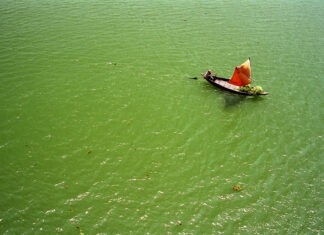 Bangladesh