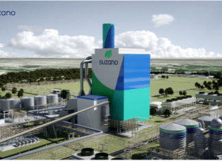 Suzano invests in eucalyptus pulp plant Suzano's Cerrado plant