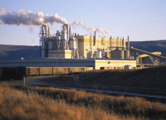 Canfor Pulp extends Taylor Pulp product curtailment