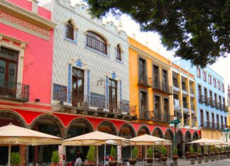 Euromonitor: A strong tissue culture, regionally stable Mexico well placed to react to economic uncertainties ahead