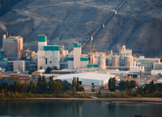 Kruger confirms Kamloops pulp mill purchase