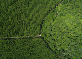 Range of pulp price increases announced by world’s producers