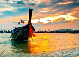 Thailand tissue: realising potential in a disrupted world