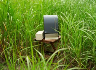 WEPA first to use Miscanthus in production of hygiene paper; introduces second innovation using recycled cardboard