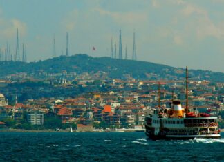 As economic challenges increase, Turkish tissue looks for growth in private label, value for money products, local production, discounting, energy savings, and cutting-edge in research