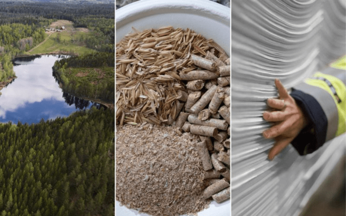 “A ground-breaking new pulp”: Södra investigates possibilities of agricultural-enhanced softwood pulp