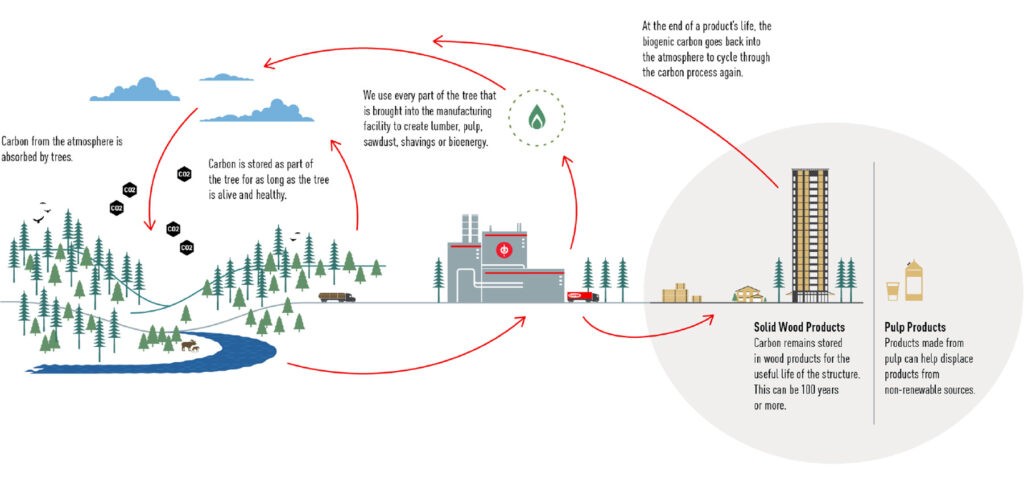 Canfor embedding long-term sustainability across its day-to-day ...