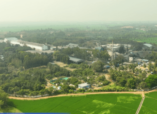 Andhra Paper diversifies into tissue with TM investment