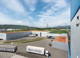 Switzerland’s Cartaseta to boost capacity with combustion system upgrade investment. Photo: Andritz