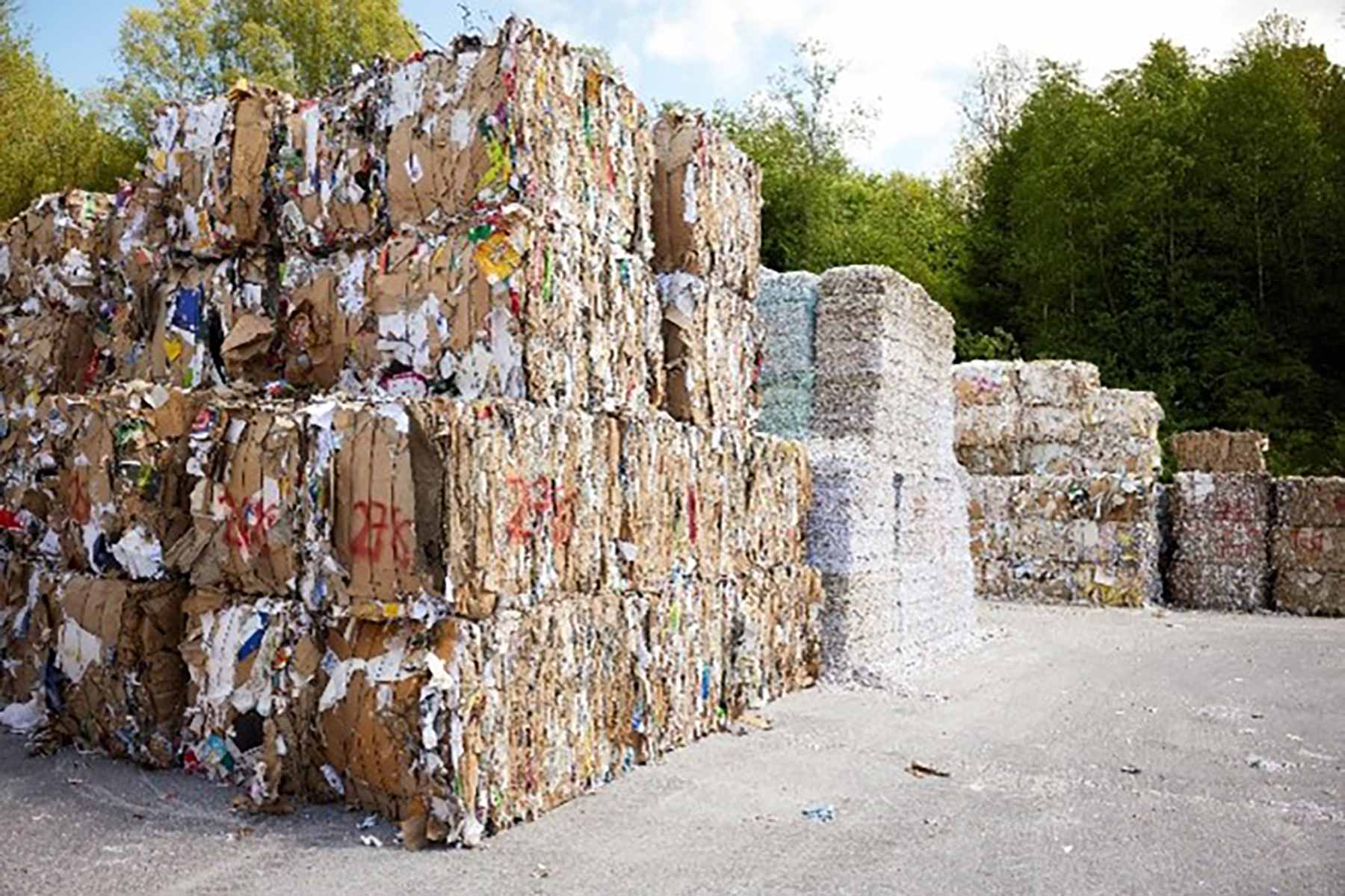 European first: WEPA says it is the first manufacturer in Europe producing hygiene paper out of recycled cardboard on a large scale