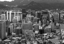 SOUTH KOREA COUNTRY REPORT: economy strong enough to support tissue demand in fiercely competitive region