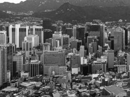 SOUTH KOREA COUNTRY REPORT: economy strong enough to support tissue demand in fiercely competitive region