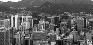 SOUTH KOREA COUNTRY REPORT: economy strong enough to support tissue demand in fiercely competitive region